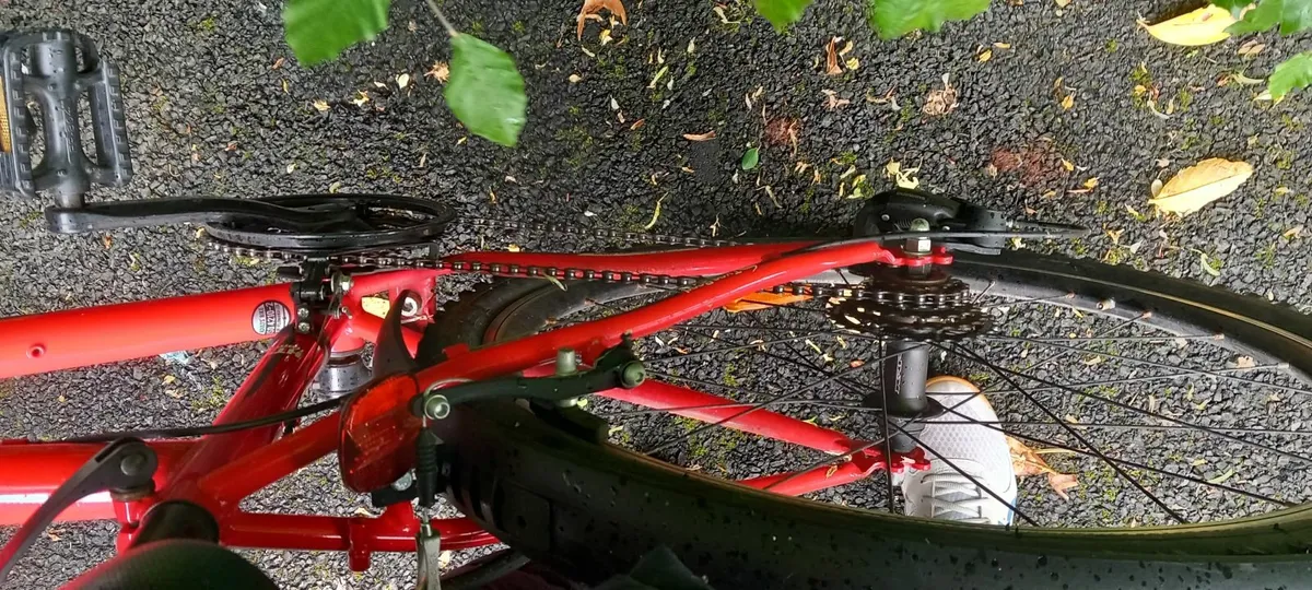 bike - Image 4