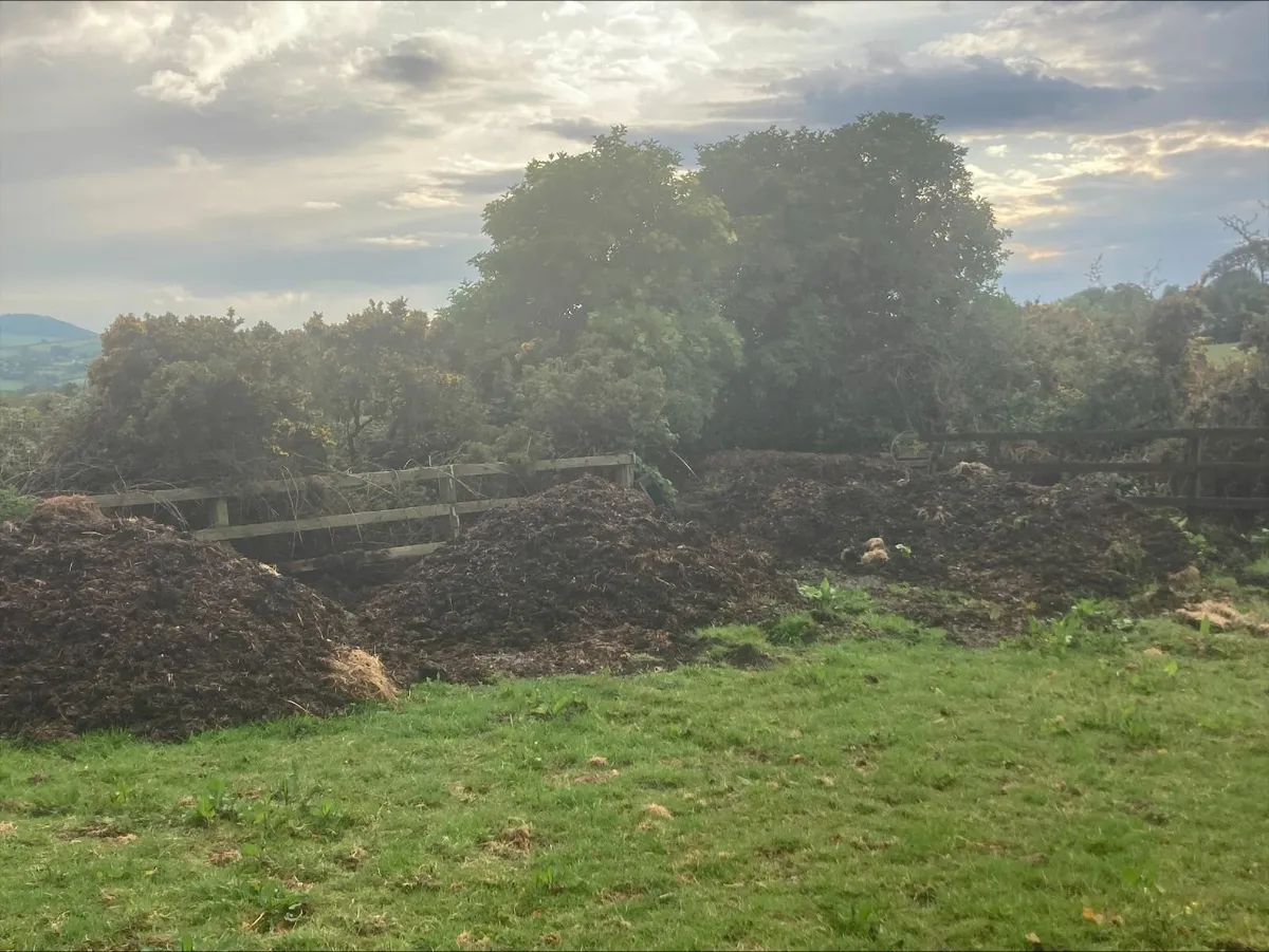 Free Manure - Image 1