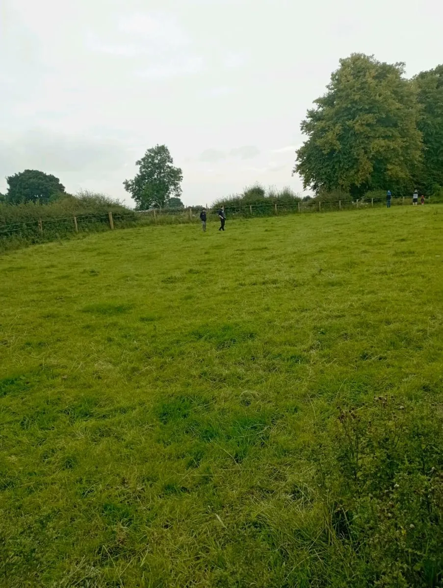 Grass livery - Image 1