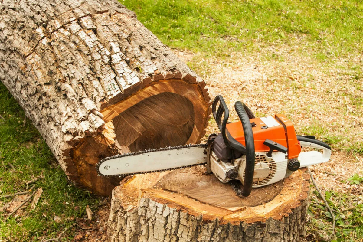 Affordable Chainsaw Operator