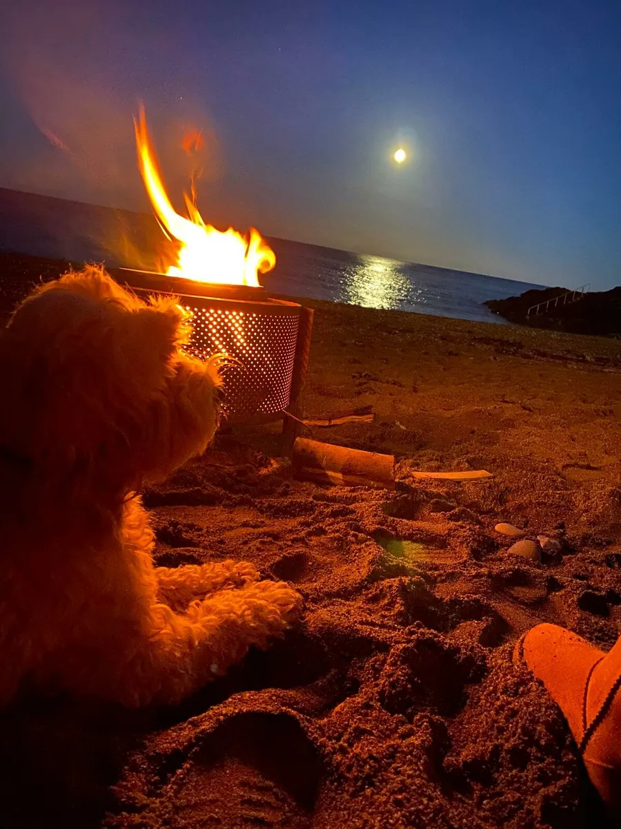 2 Fire Pits - Image 2