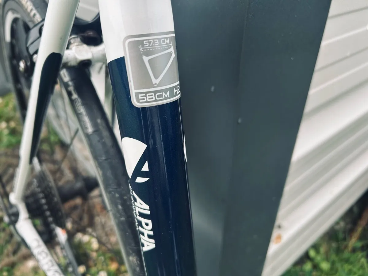 Trek road bike - Image 2