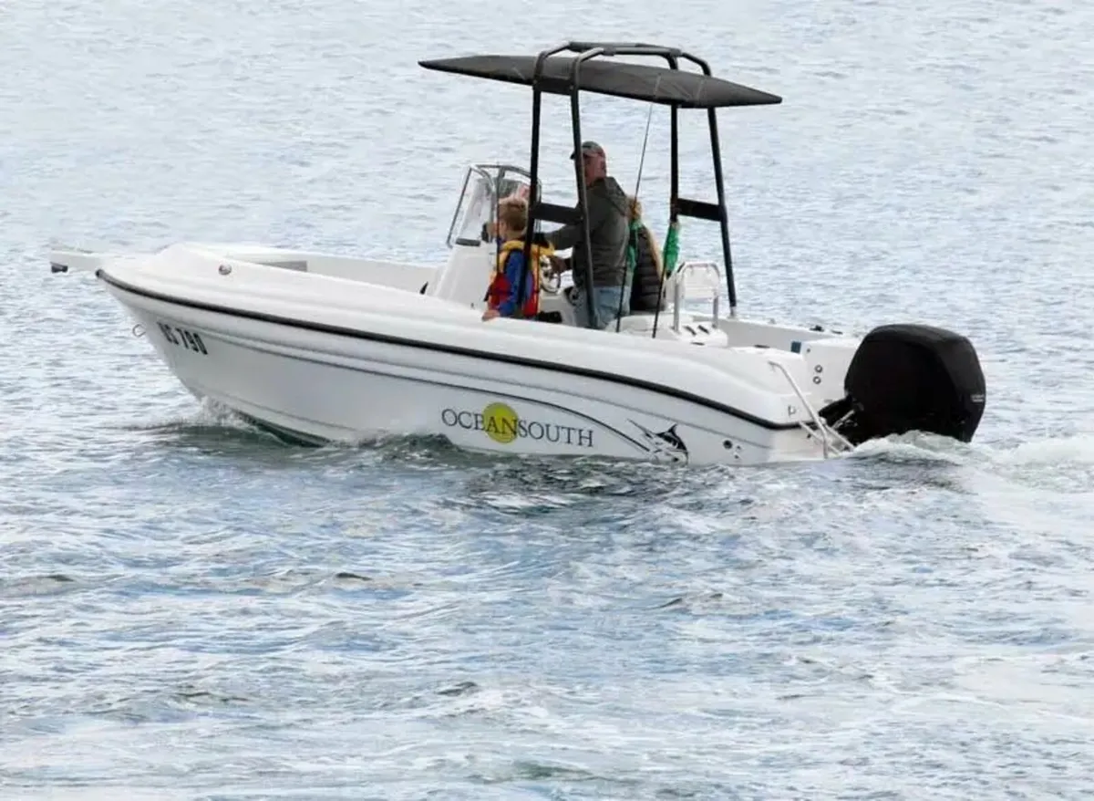 Heavy-Duty Targa Top Boat Canopy Built for Marine - Image 3