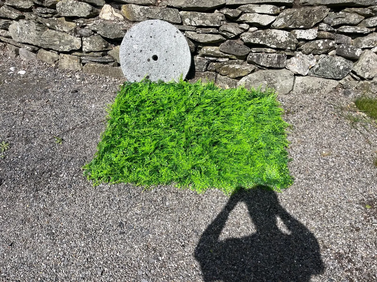 Artificial Leafy Green Fern Privacy Screen 1mX1m - Image 1