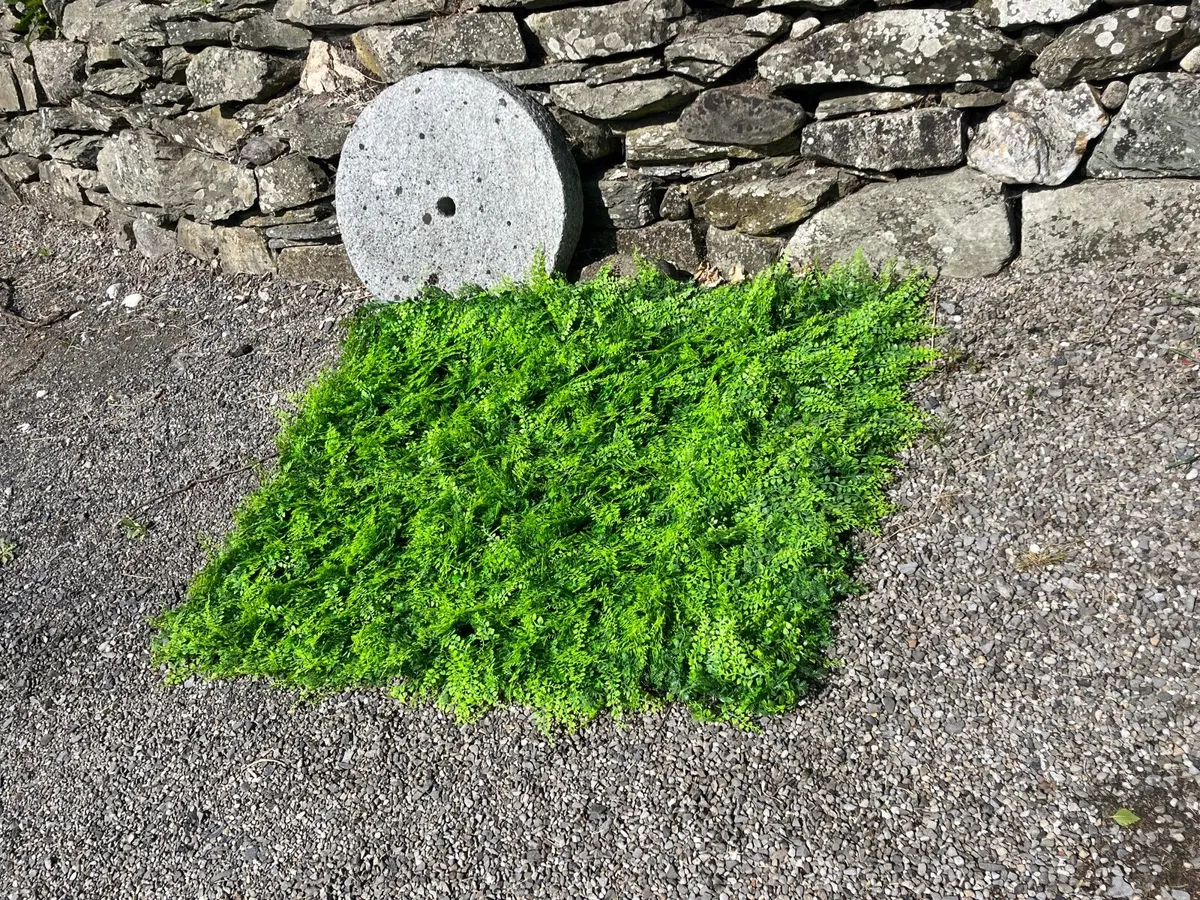 Artificial Leafy Green Fern Privacy Screen 1mX1m - Image 3