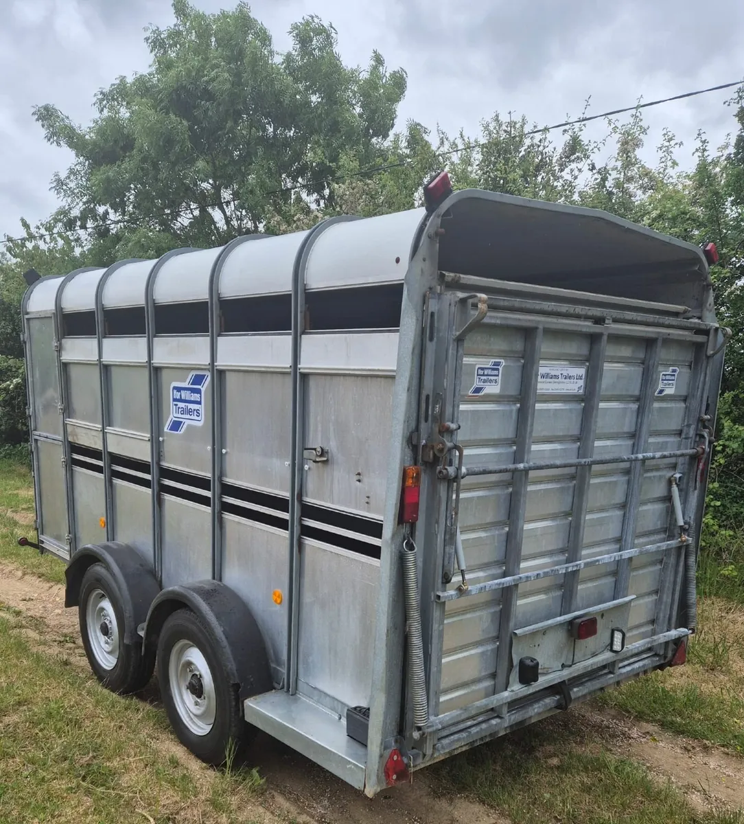 Ifor Williams 12 x 6 cattle/sheep trailer - Image 4