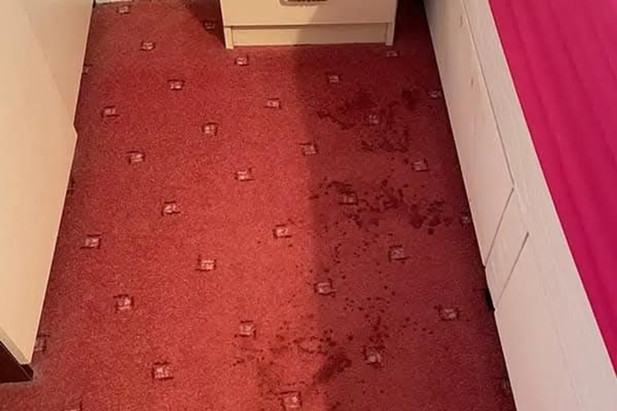 carpet and upholstery cleaning service - Image 2