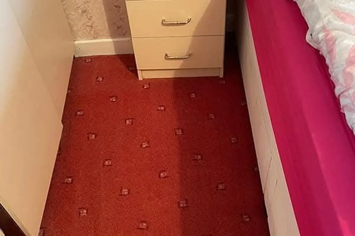 carpet and upholstery cleaning service - Image 3