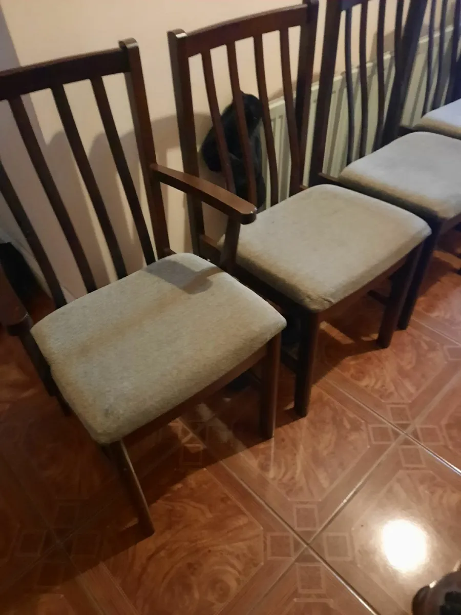 Kitchen chairs - Image 2