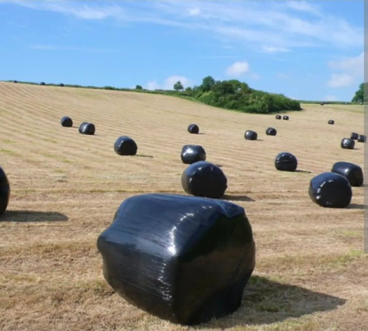 Silage Bales