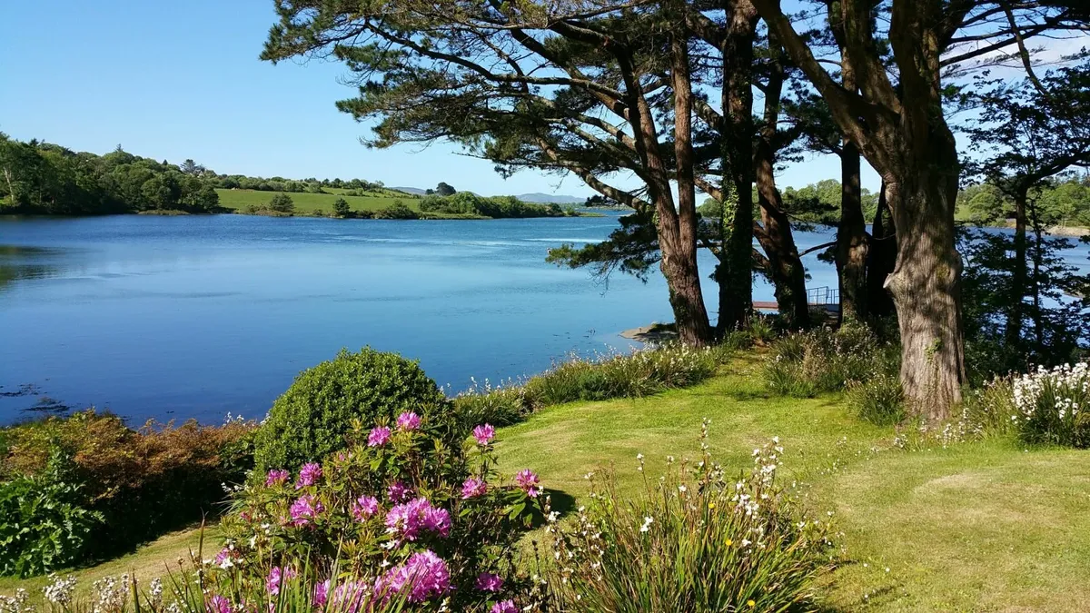 Beautiful house by the sea in Bantry Bay 2-9 Aug - Image 1