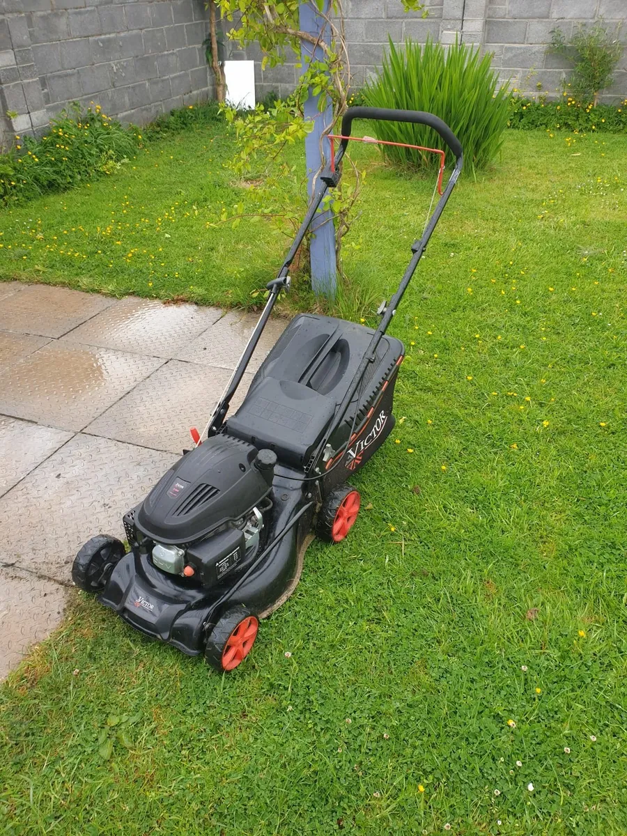 Lawnmower - Image 1