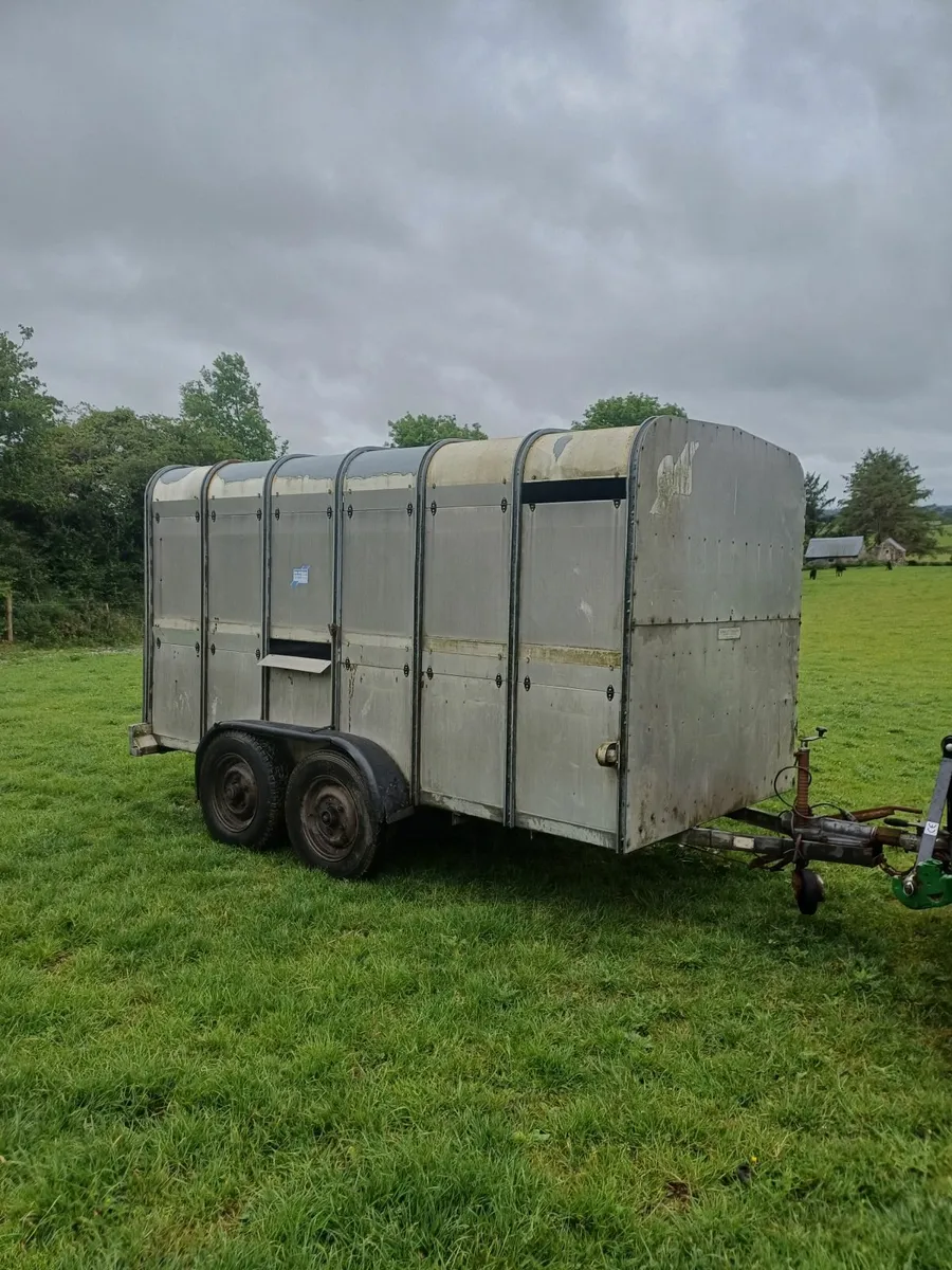 Ifor williams livestock trailer - Image 1