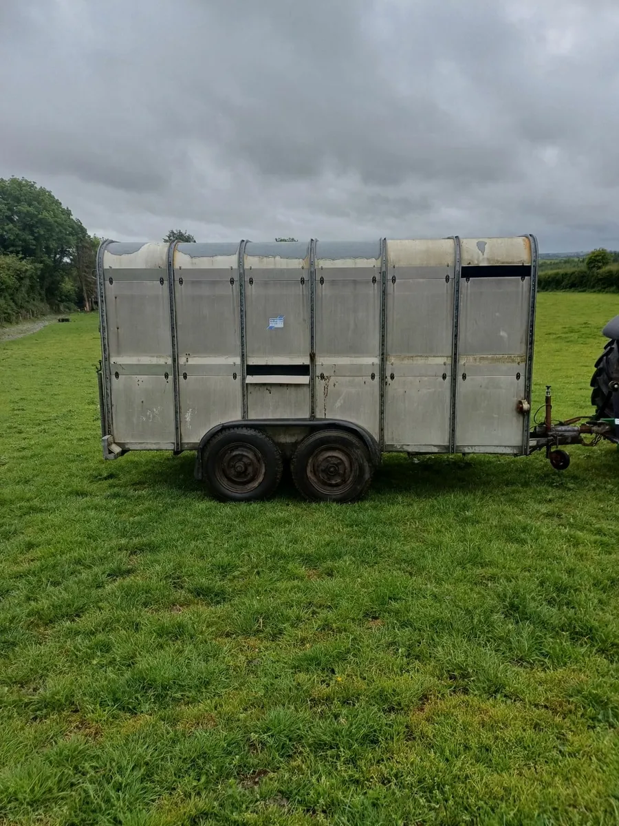 Ifor williams livestock trailer - Image 2