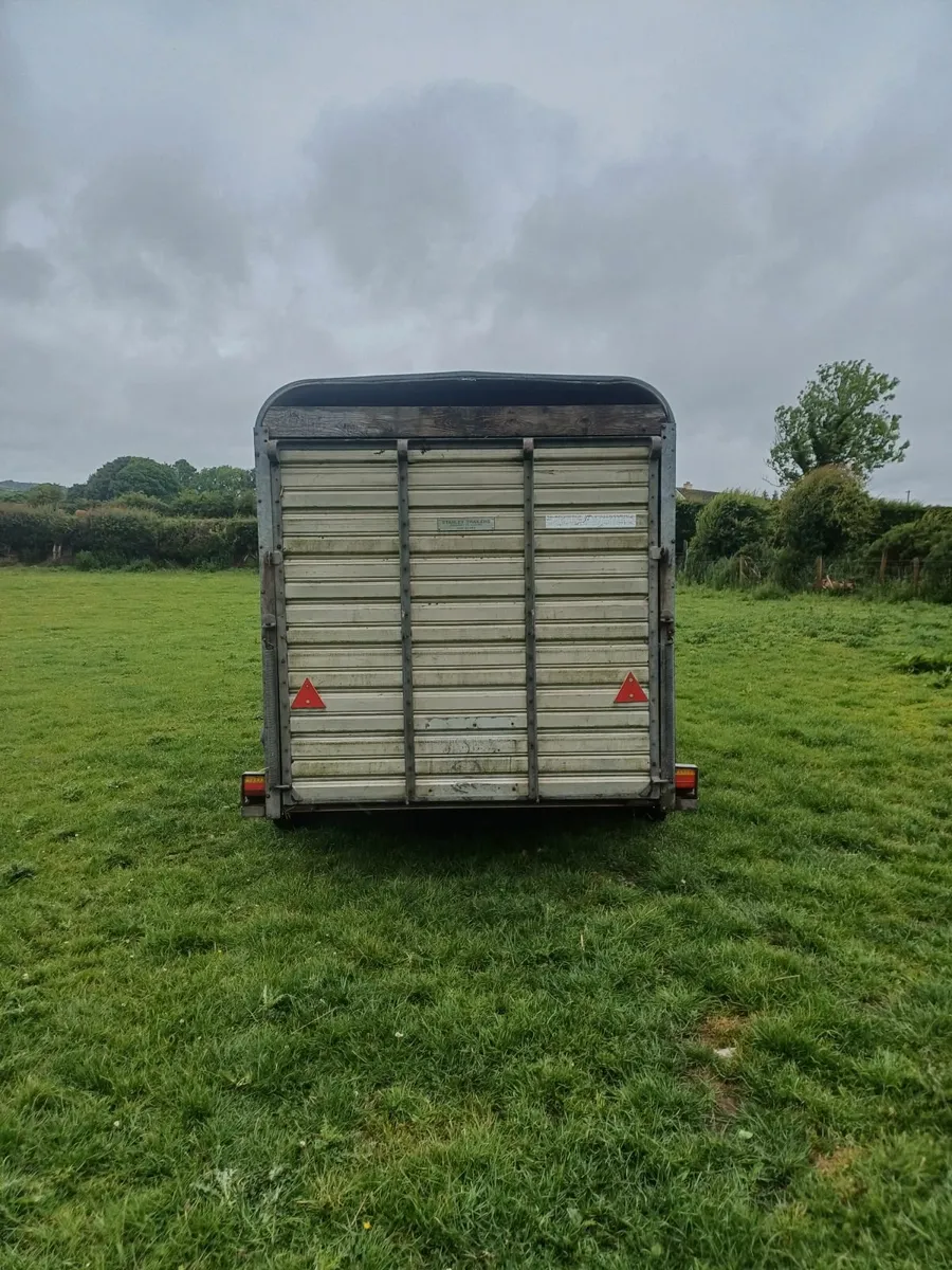 Ifor williams livestock trailer - Image 3