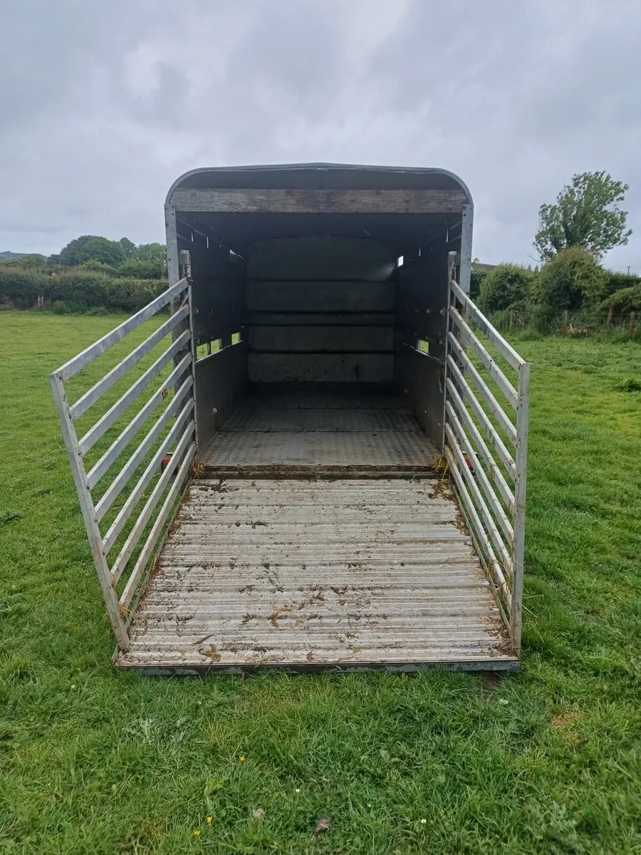 Ifor williams livestock trailer - Image 4