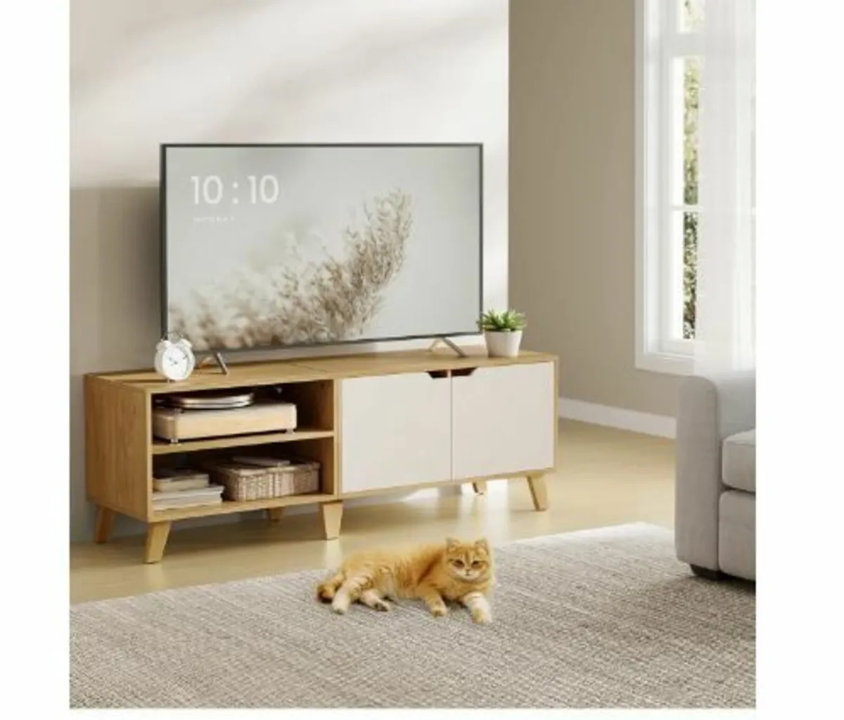 Cabinet, TV Stand with 2 Doors - Image 3