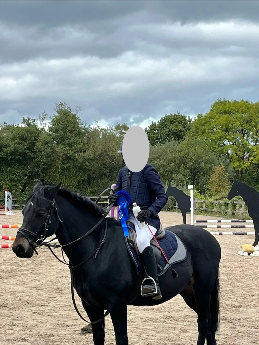 Super Pony Club Pony - Image 1