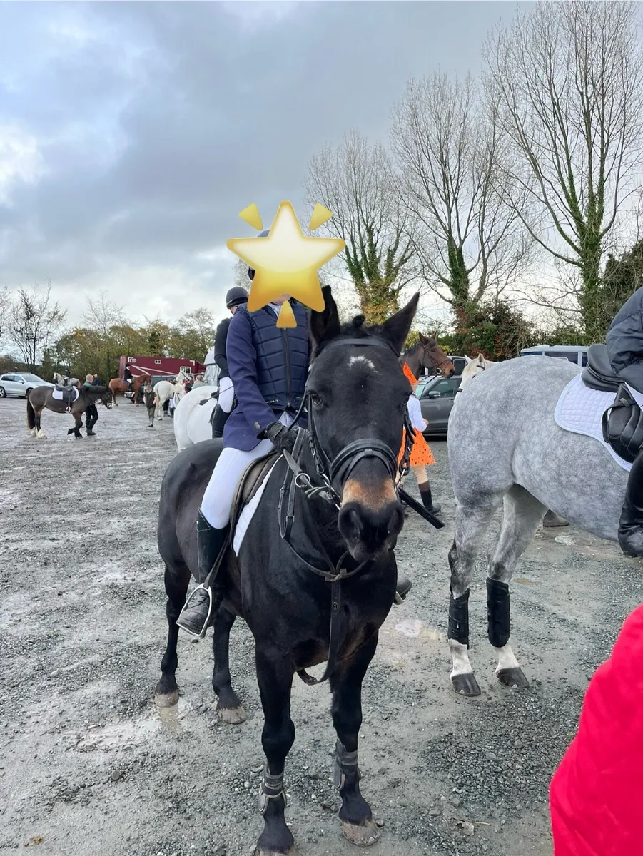 Super Pony Club Pony - Image 2