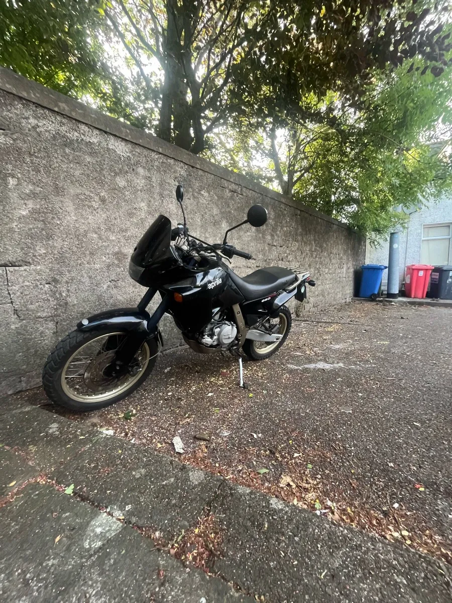 Aprilia Pegaso 650 (1996) - Project Bike - Image 4