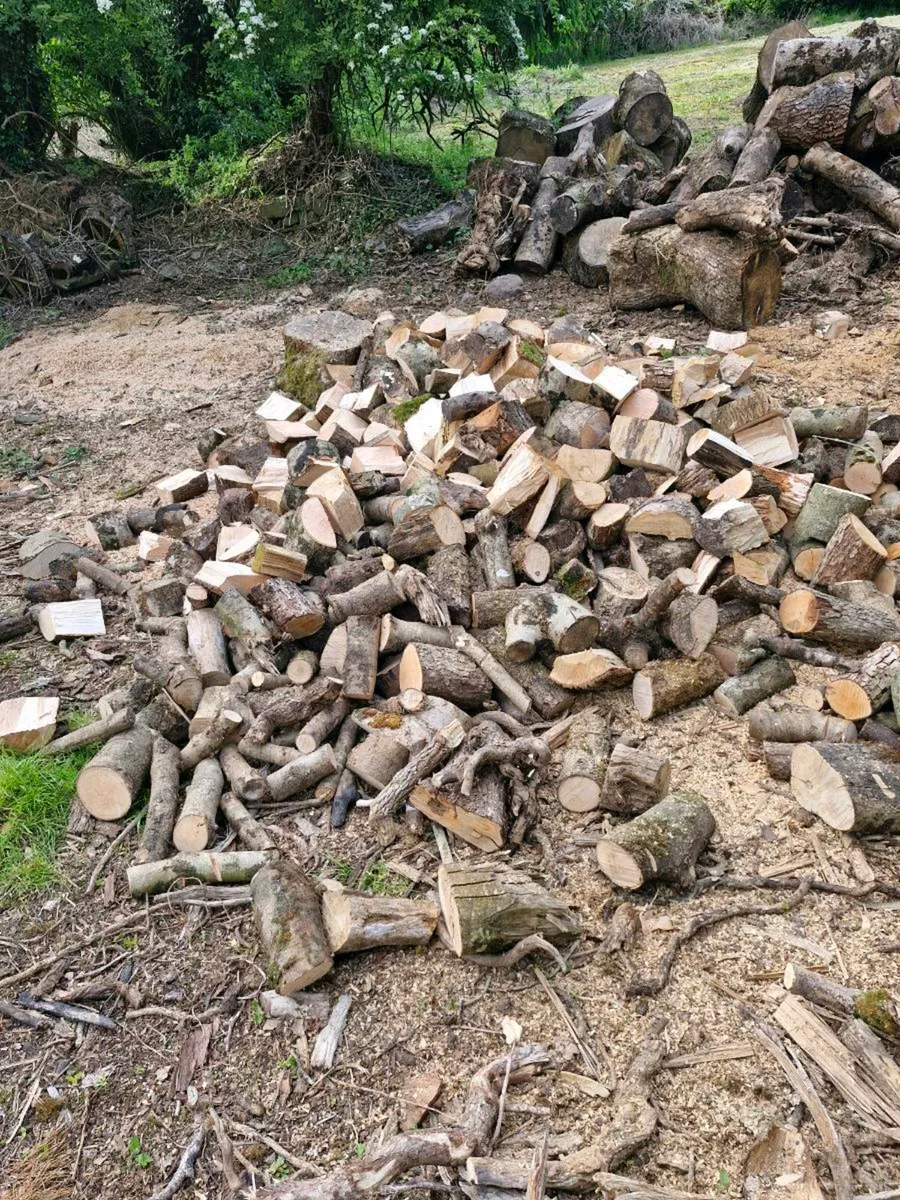 Firewood - Image 2