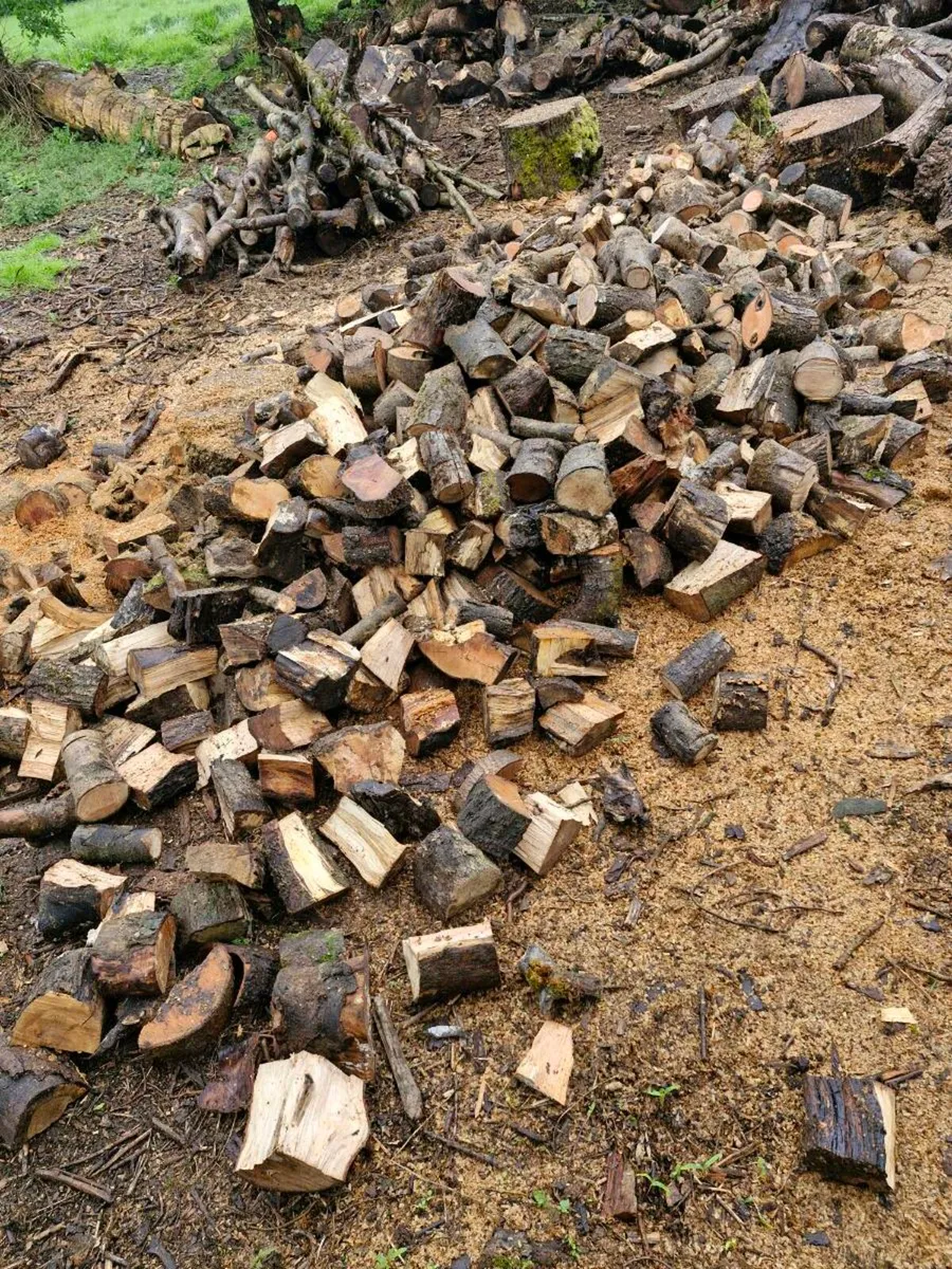 Firewood - Image 4