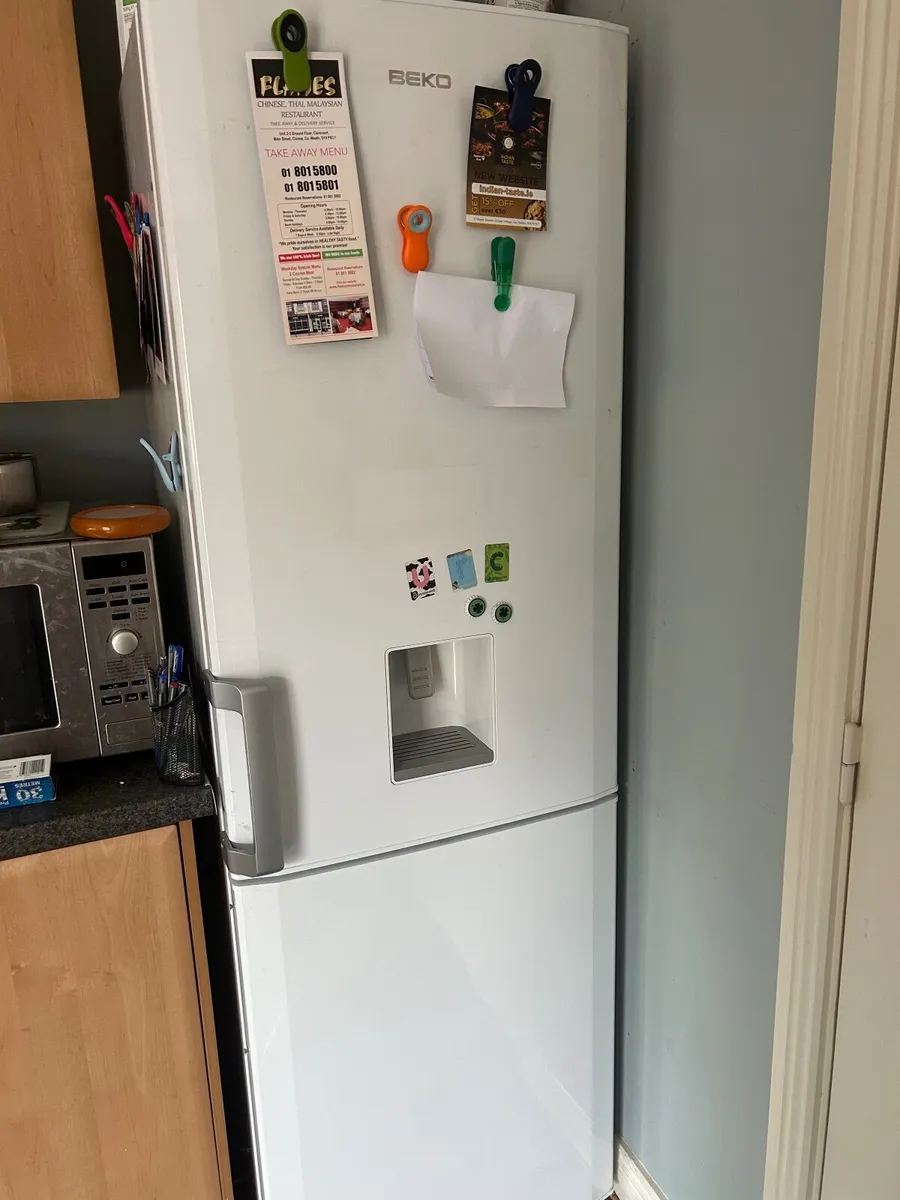 Fridge Freezer & Dishwasher - Image 1