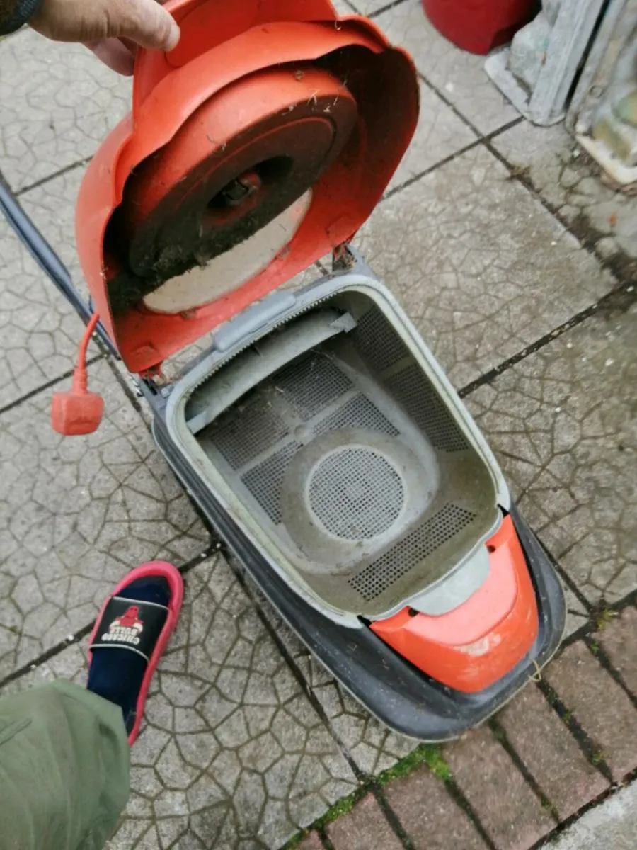 Electric fllymo - Image 3
