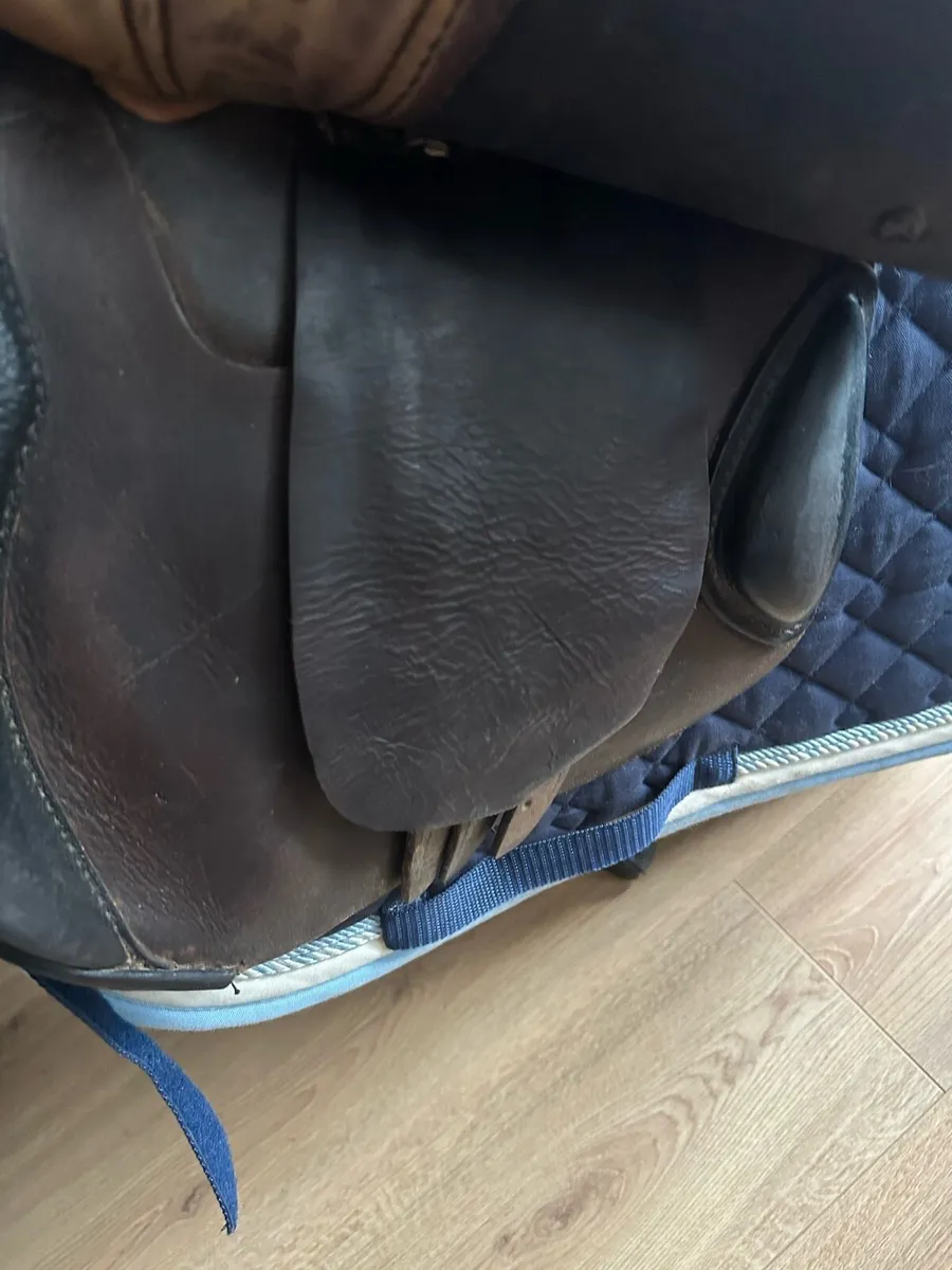 16” saddle - Image 2