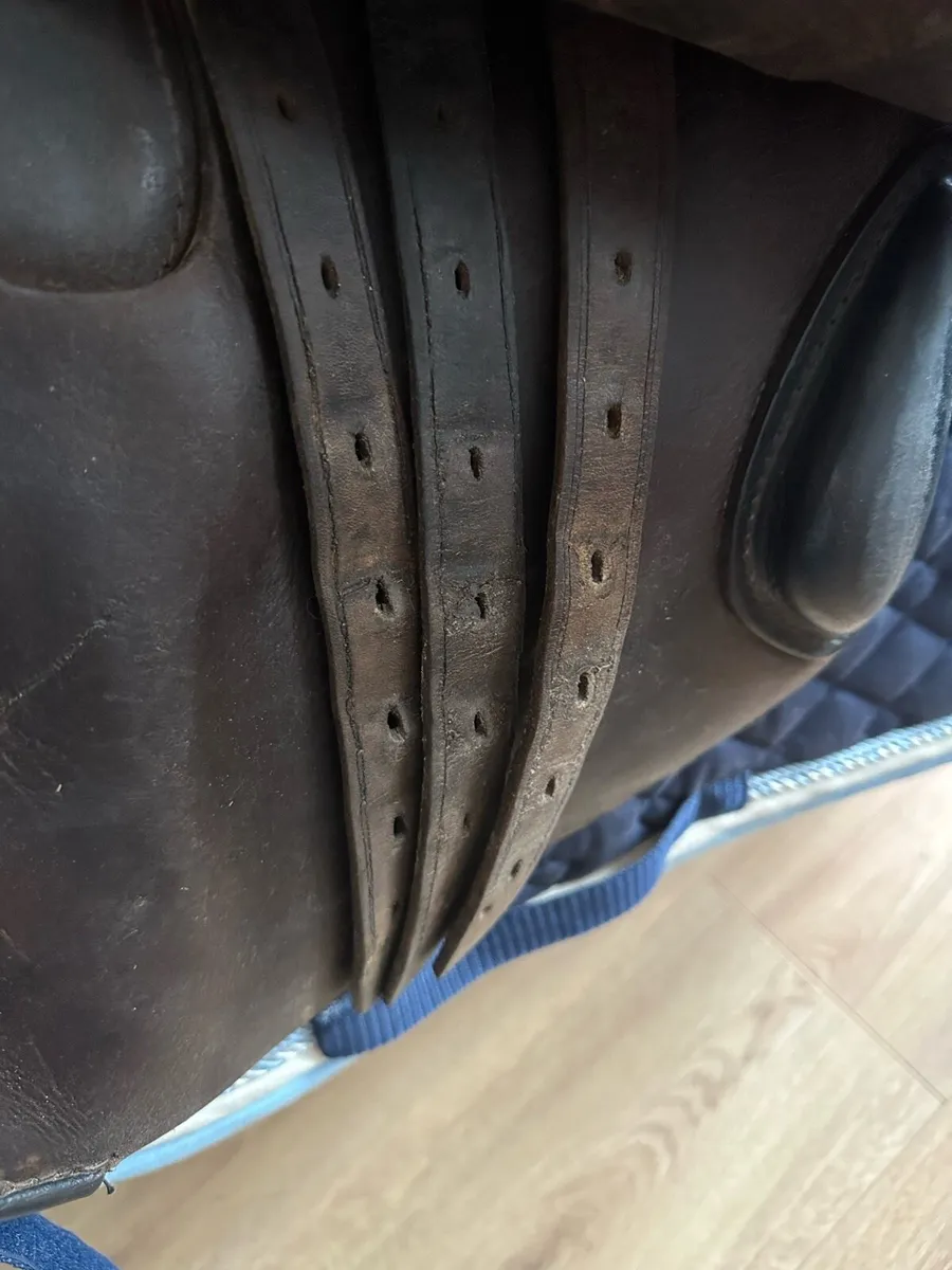 16” saddle - Image 3