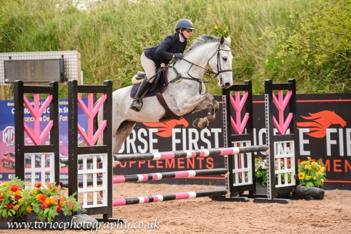 Holsteiner 2018, 166cm mare - Image 1