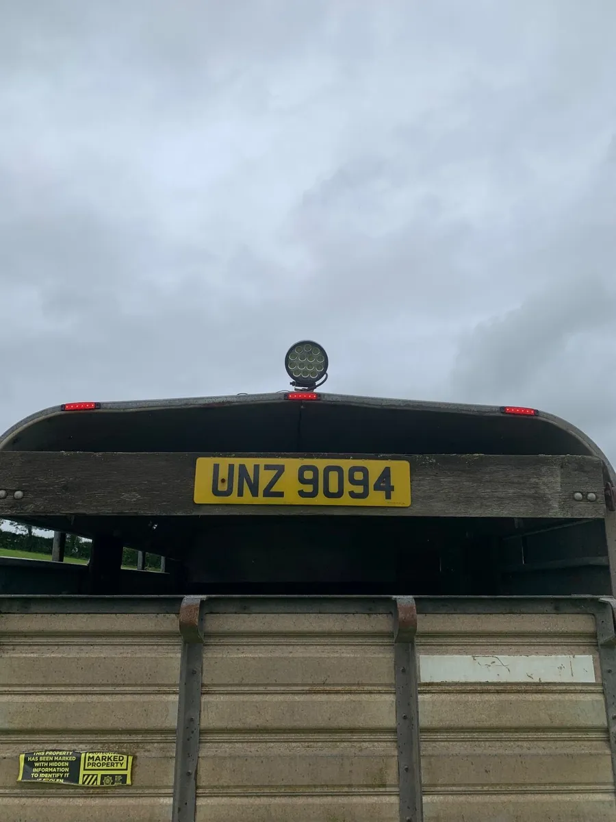 10x5 ifor williams stock trailer - Image 3