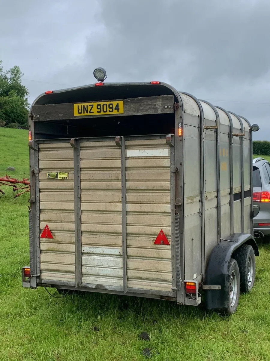 10x5 ifor williams stock trailer - Image 4