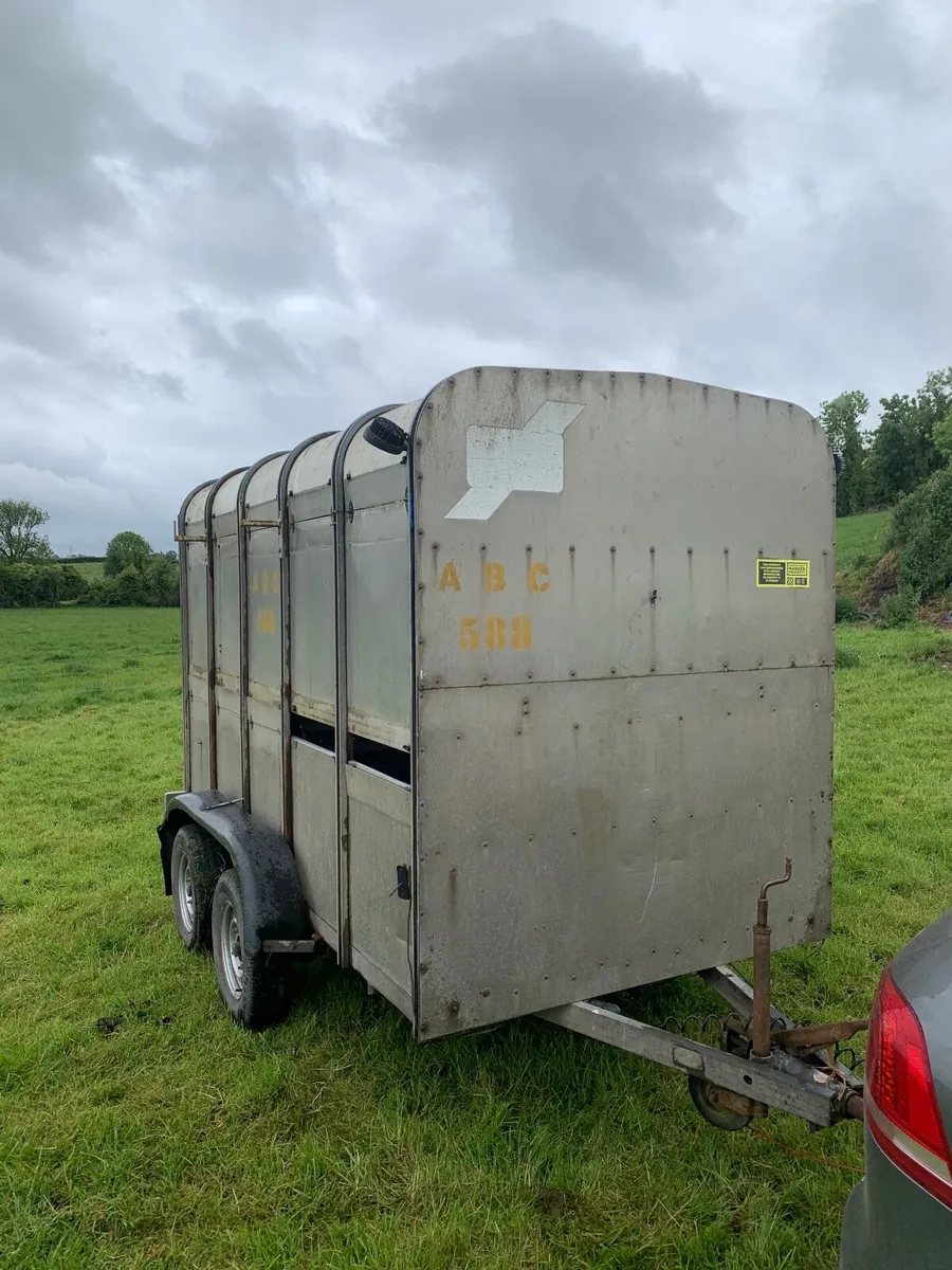10x5 ifor williams stock trailer - Image 1