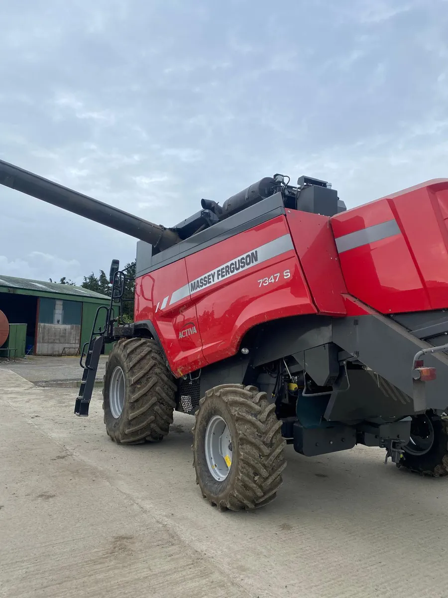 Massey Ferguson 7347 S - Image 3