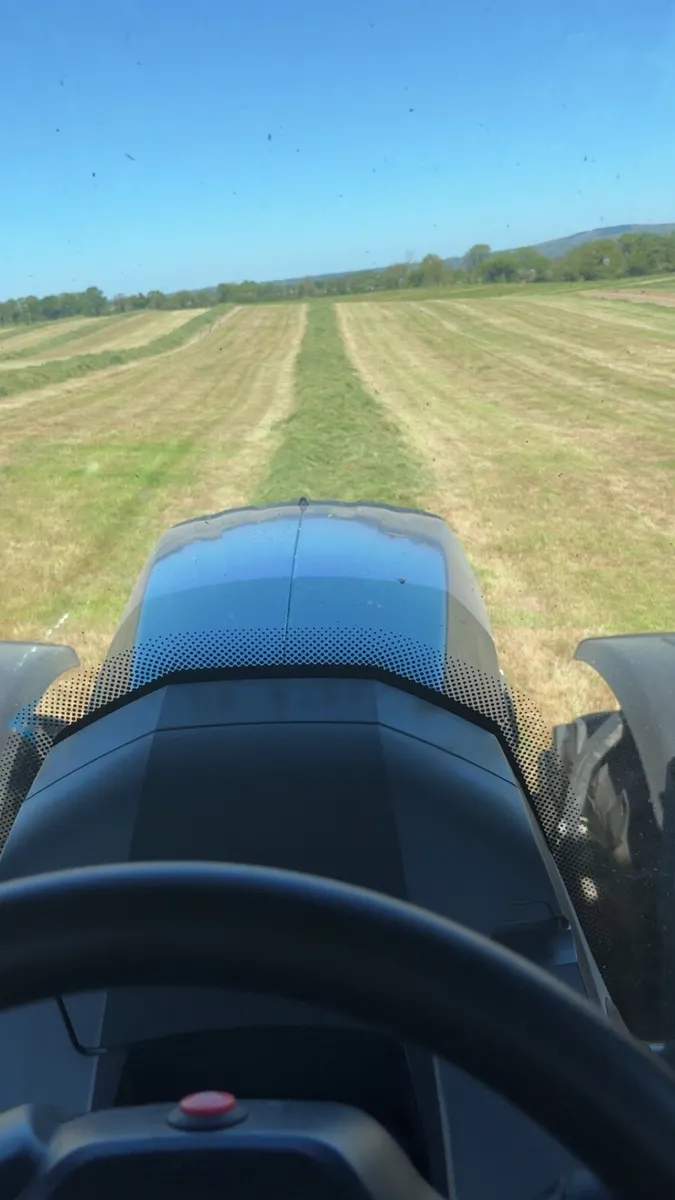 2025 Silage bales - Image 2