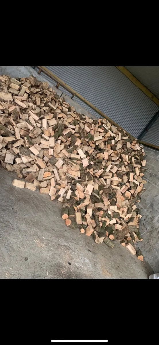 Dry ash hardwood - Image 2
