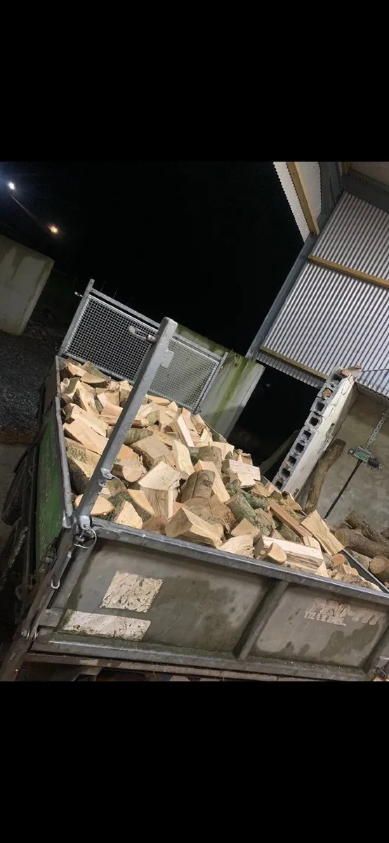 Dry ash hardwood - Image 3