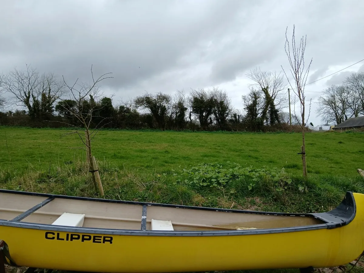 Canoe - Image 4