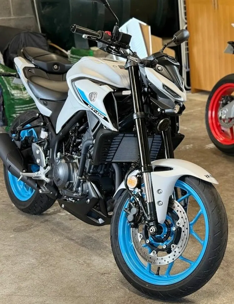 2025 YAMAHA MT-03 (New Model) - Image 2