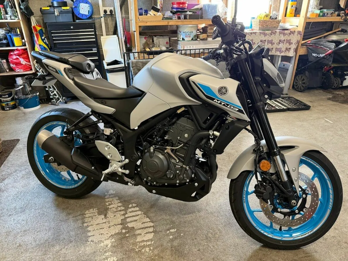 2025 YAMAHA MT-03 (New Model) - Image 3