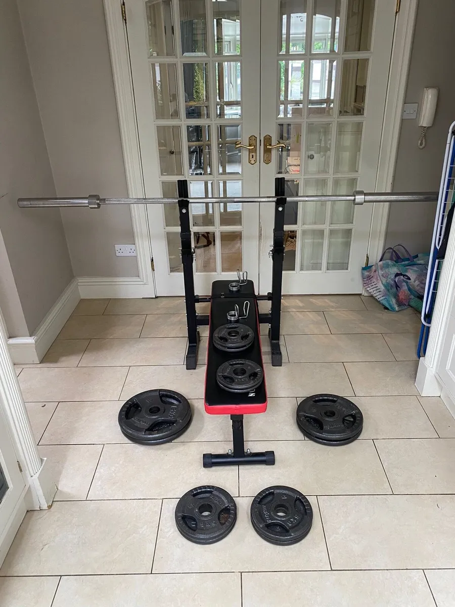 Olympic Barbell, Weights, Bench - Image 1