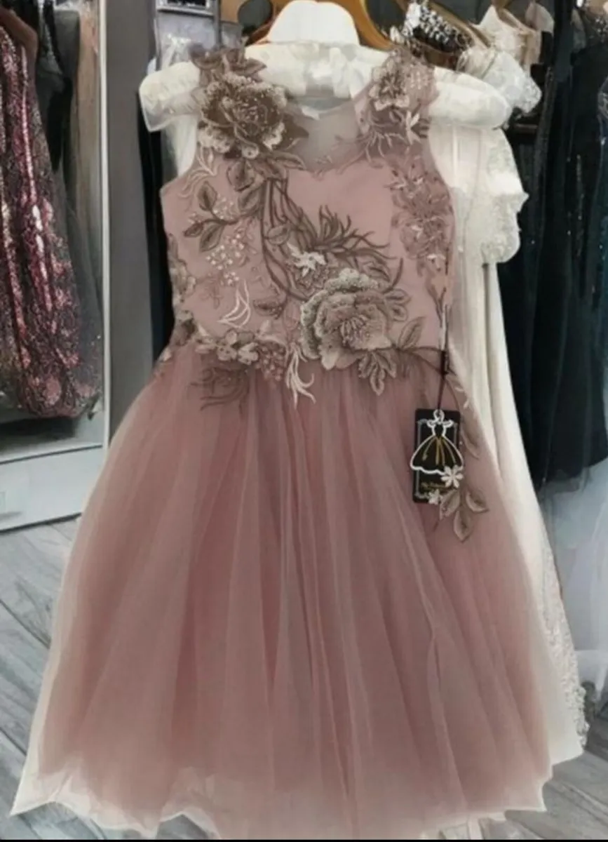 Brand New Occasion Dress UK.10.. - Image 1