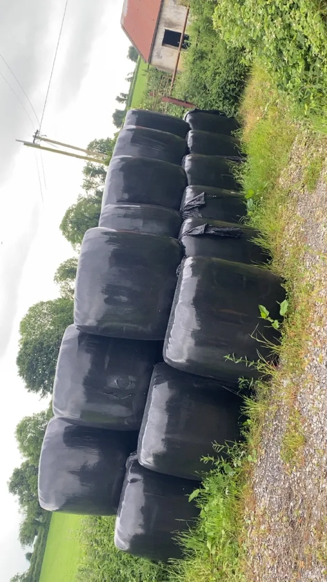 Silage for sale