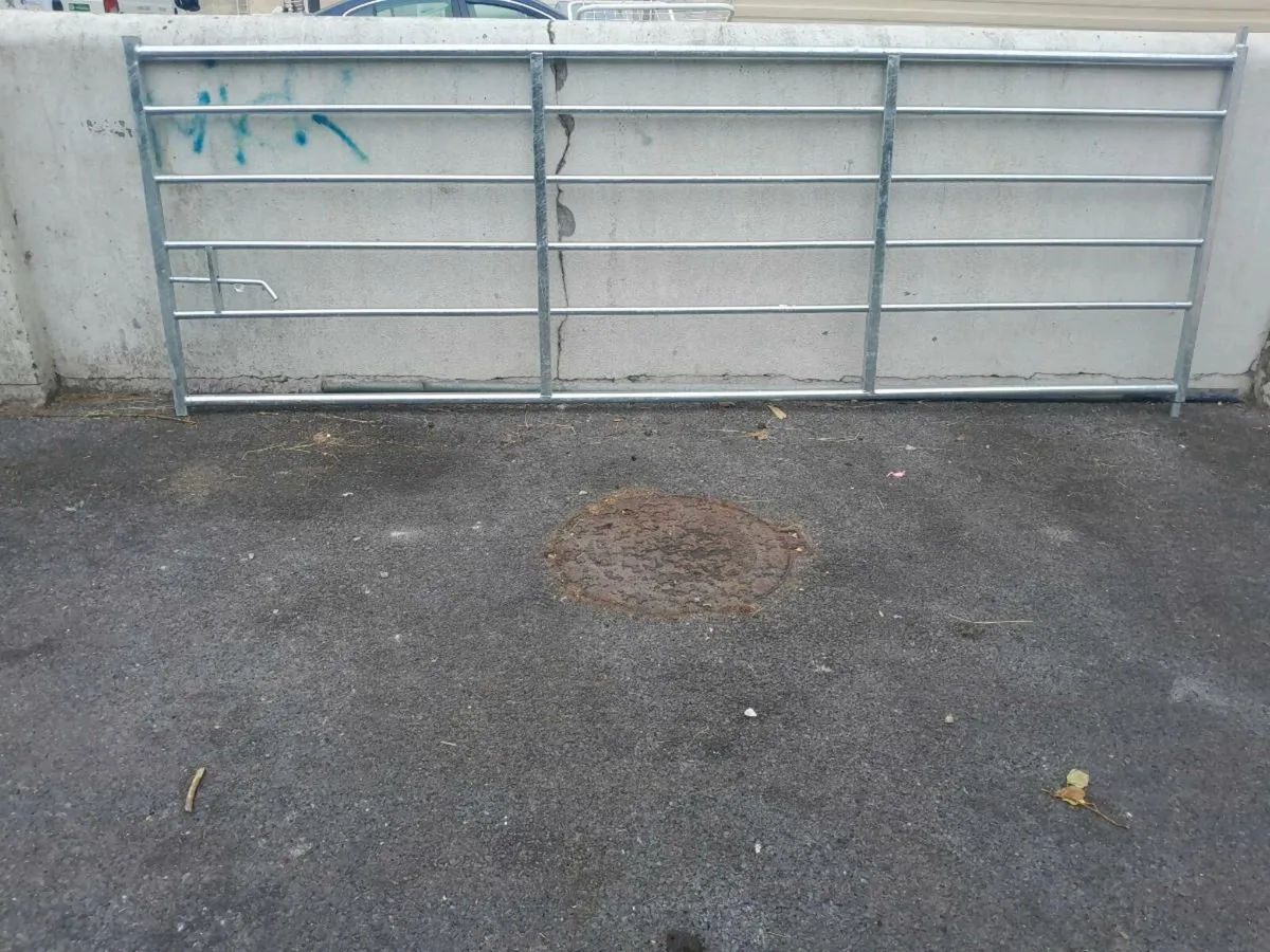 Galvanized Gates 12 and 14 ft - Image 1