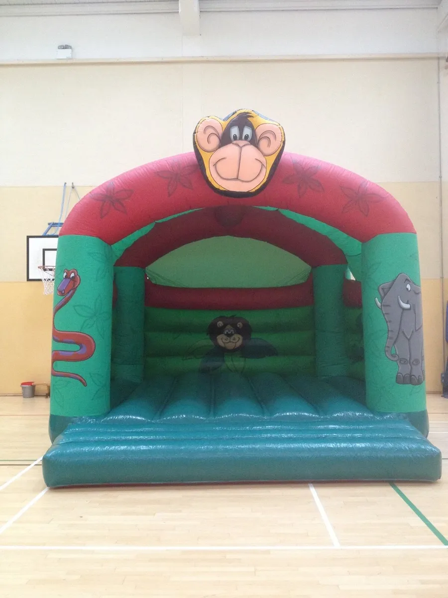 16ft x 16ft Bouncy Castle