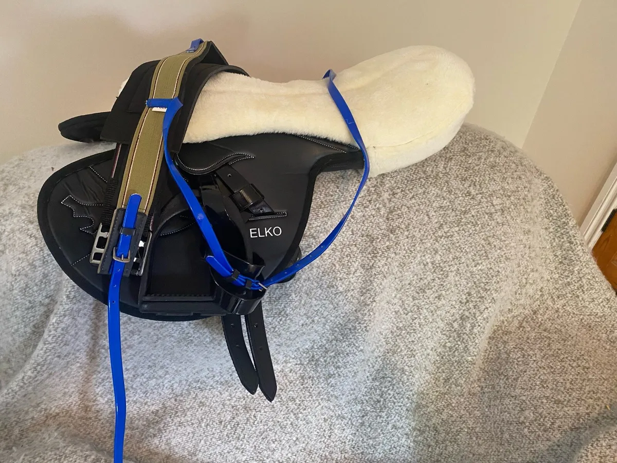 Race excercise saddles & accessories - Image 4