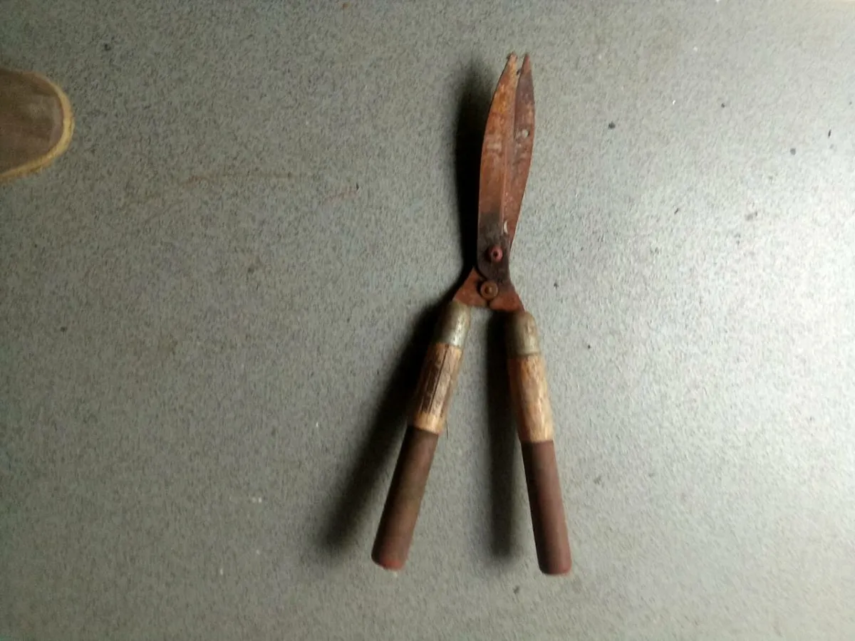 TRUE  TEMPER. HAND  HEDGE. CLIPPERS - Image 1
