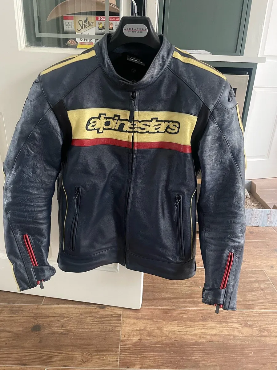 Motorcycle jacket (leather) - Alpinestars Dyno V2 - Image 1