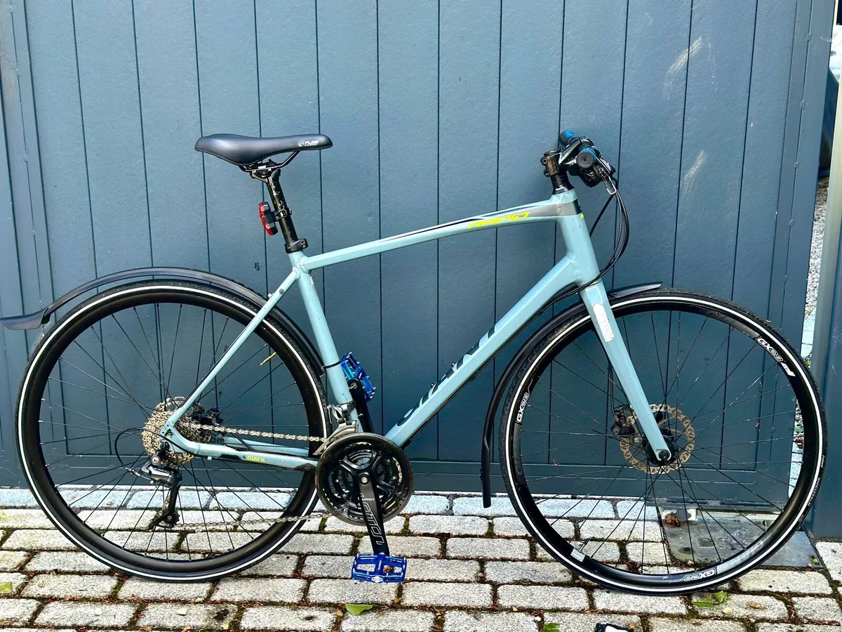 Giant Bike - Image 1